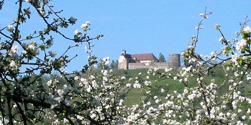 Schloss im Frühling