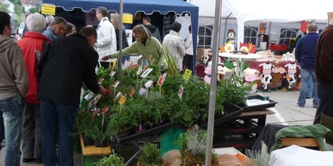 Naturparkmarkt 2010