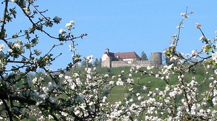 Schloss im Frühling